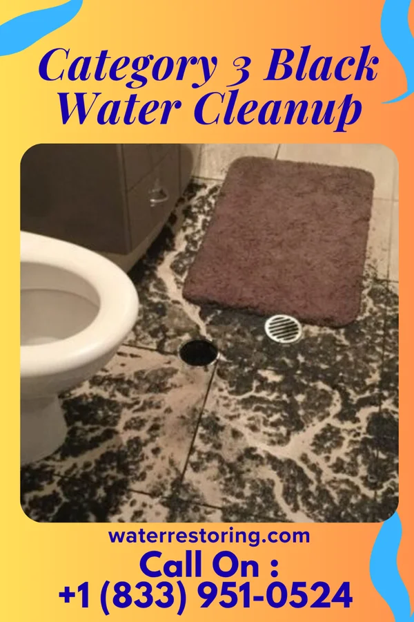Category 3 Black Water Cleanup in Le Flore, OK